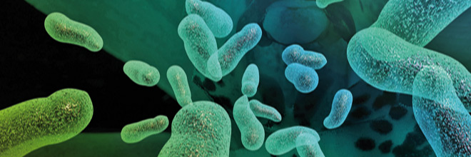 Ces microbes qui nous gouvernent