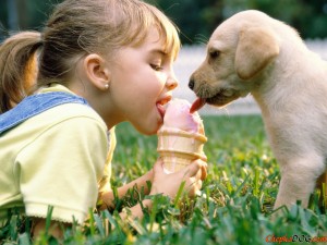 chepkadog.com-322