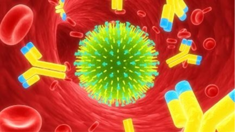 Vitamine D : un rôle essentiel sur le fonctionnement de l’immunité