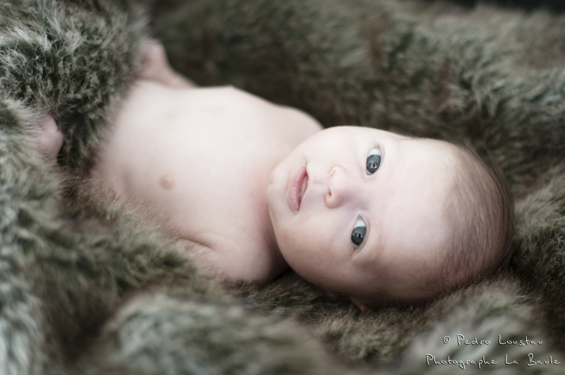 « Faire dormir bébé sur de la fourrure réduirait les allergies »