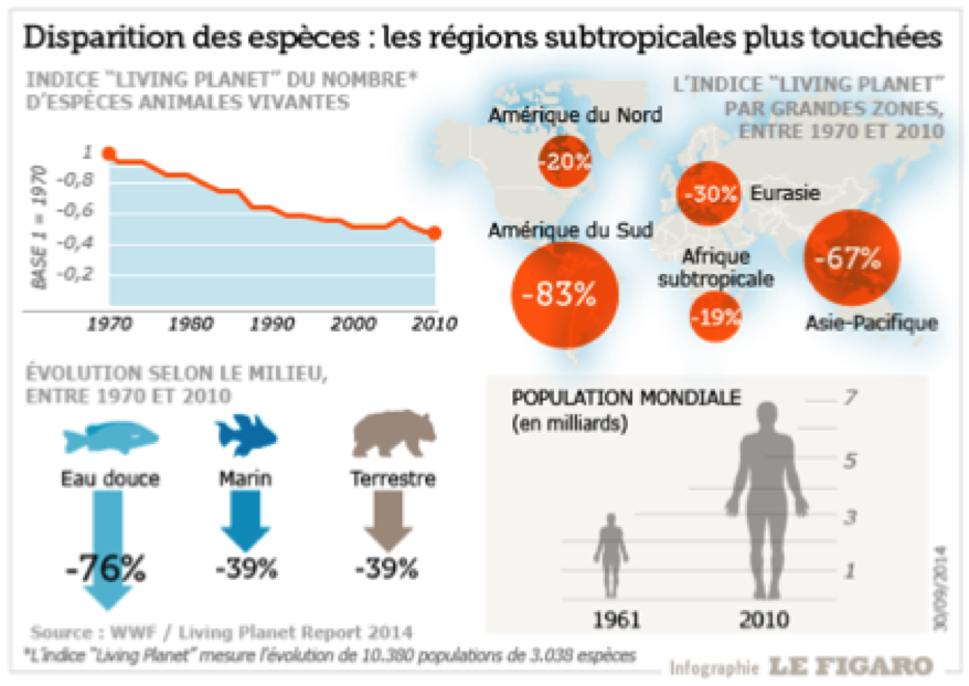 La moitié des animaux sauvages a disparu en moins d'un demi-siècle