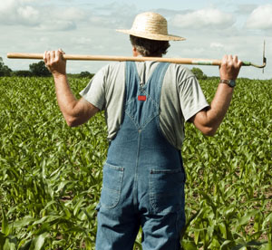 A chaque type d’agriculture, son cancer