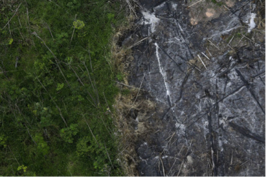 Destruction de la planète : le quatrième seuil (sur neuf) est franchi