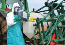 Cinq pesticides cancérogènes "probables" (OMS)
