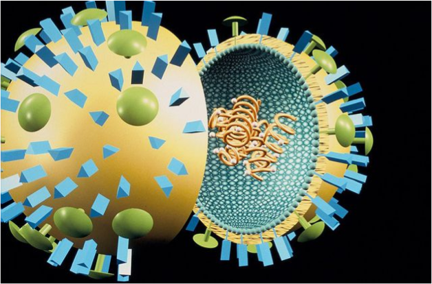 Les antiplaquettaires, nouvel espoir contre les cas de grippes sévères