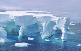 « L'Antarctique détient-il les remèdes contre les ‘super-bactéries’ ? »