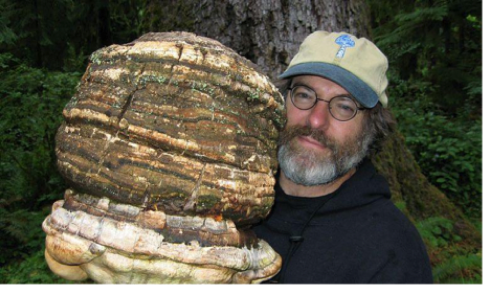 Un champignon tueur d'insectes, le brevet qui dérange Monsanto