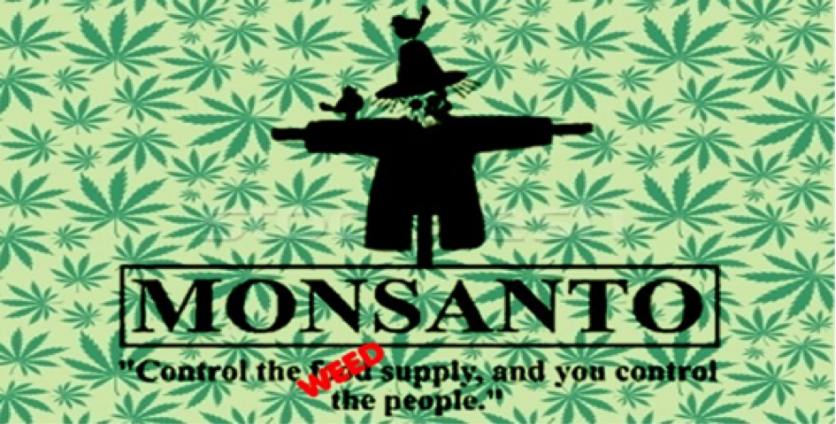 Pourquoi Légaliser Le Cannabis ? Parce que Monsanto Arrive Avec Ses OGM…