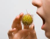 100 ans d’allergie alimentaire