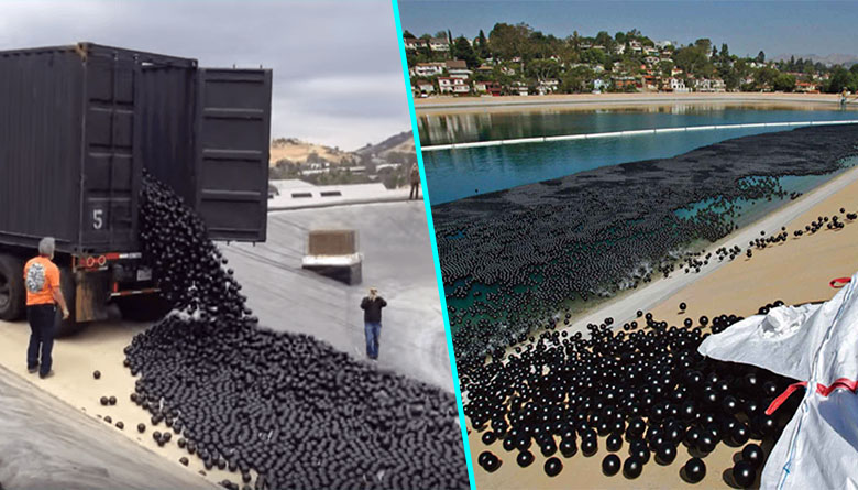 La Californie contrainte de jeter des balles de plastique dans ses lacs