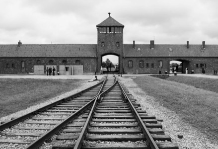 Le traumatisme des camps de concentration se transmet-il aux enfants?