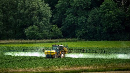 L'«effet cocktail» des perturbateurs endocriniens mis au jour