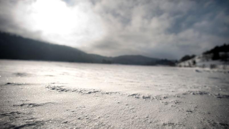 Mollivirus sibericum, le nouveau virus géant