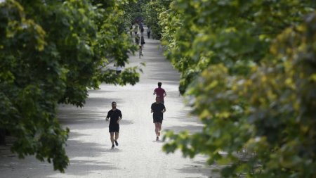 Une pilule pour remplacer l'exercice physique