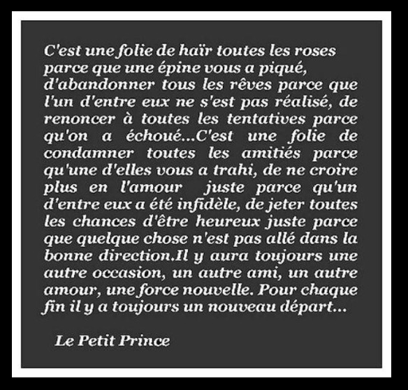 Saint Exupéry - Le Petit Prince