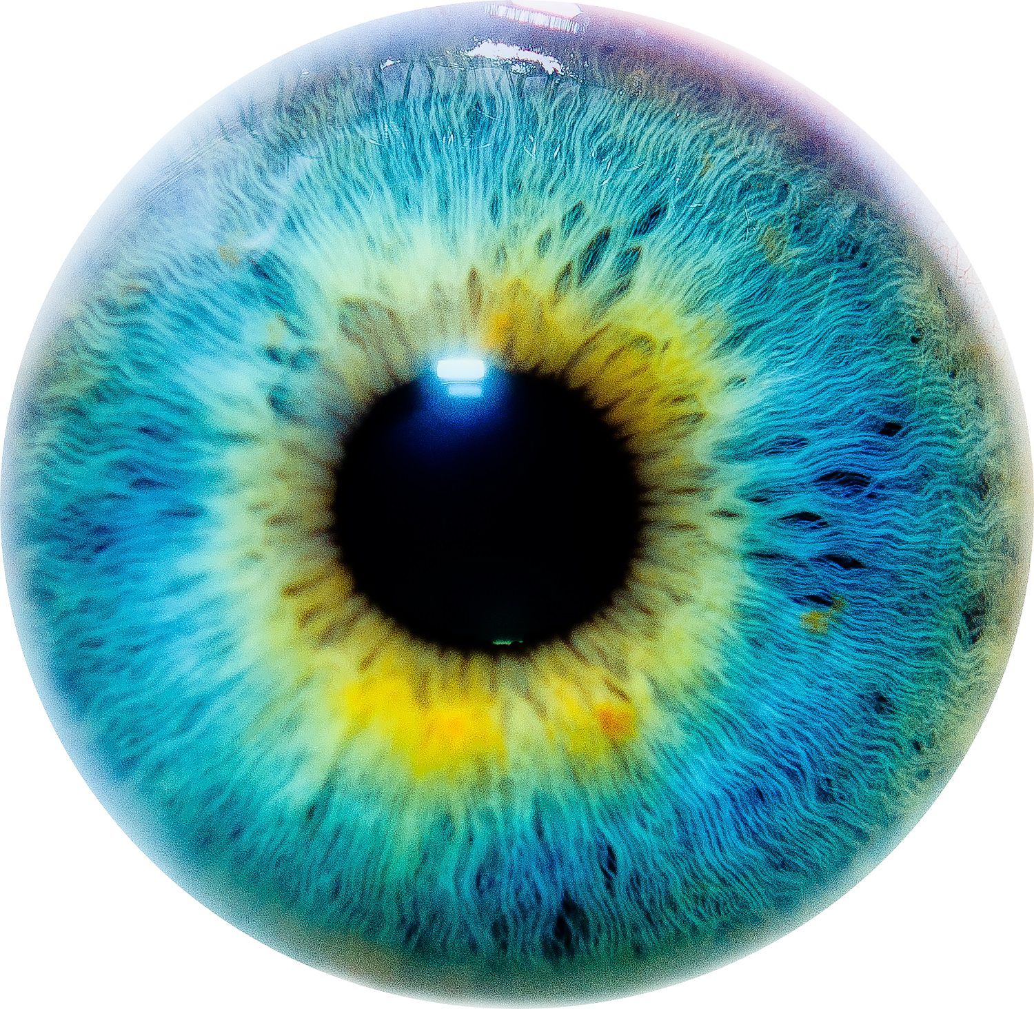 Psychose : l’étonnante performance du cerveau sujet aux hallucinations