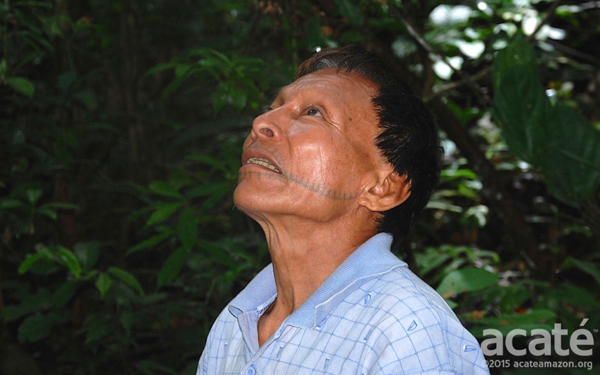 Une encyclopédie de 500 pages sur la médecine traditionnelle prend forme grâce à une tribu de l’Amazonie