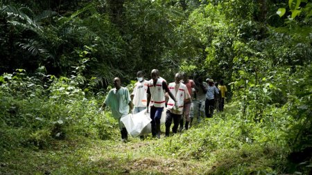 Les survivants d'Ebola victimes de douloureuses séquelles