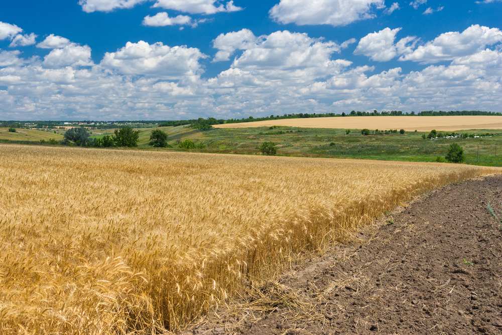 La fertilité des sols part en poussière