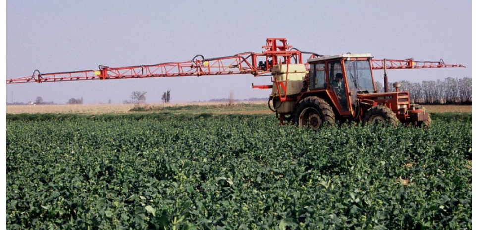 Un "cocktail" de pesticides retrouvé dans les cheveux des enfants