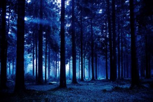 Arbres 1
