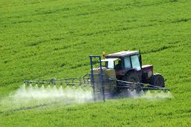 Puberté précoce : nos enfants sont touchés par les perturbateurs endocriniens et les pesticides.