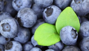 Aliments anti-inflammatoires recommandés en cas de Polyarthrite rhumatoïde