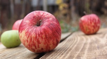 Bien choisir ses aliments pour ne pas s'empoisonner