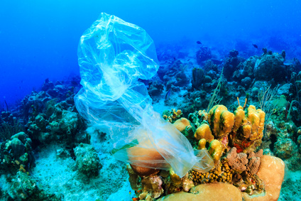 Alerte générale sur l’environnement