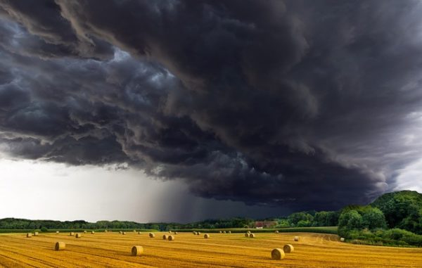 Les accords de libre-échange provoquent un génocide des agriculteurs