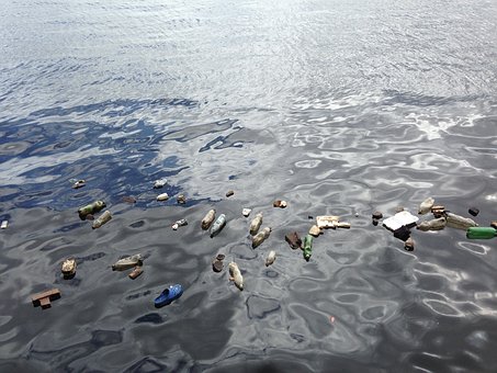 Le système microbien vient de créer spontanément une bactérie capable de digérer les plastiques