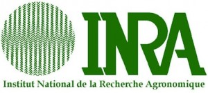 inra_logo_v_1