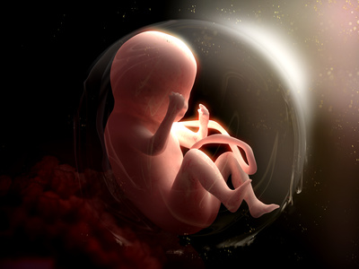 La pollution de l’air modifie le placenta et intoxique le foetus