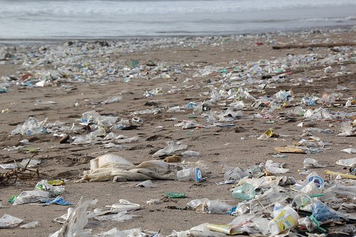 Les sacs plastiques : calamité mondiale