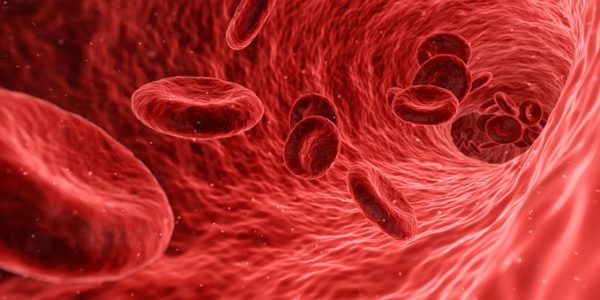 La bactérie Echerichia Coli préfère les groupes sanguin A et épargne le O
