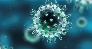 Un virus de type Herpès serait intéressé dans la maladie d’Alzheimer