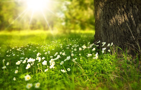 TOC, le soleil lutte contre les troubles obsessionnels compulsifs
