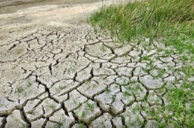La Terre pourrait se transformer en étuve
