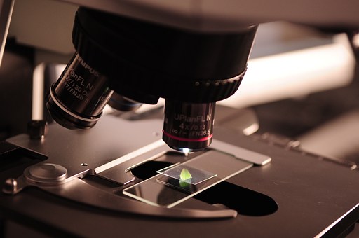 Résistance aux antibiotiques