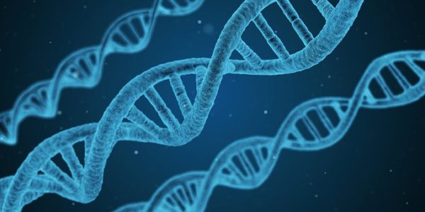 Record de prix battu pour un médicament pour une maladie génétique rare