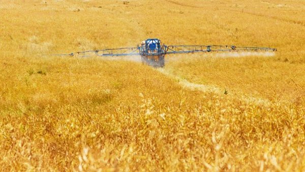 Six résidus de pesticides sur dix retrouvés dans l’alimentation