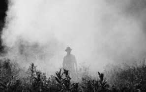 Le nouveau ministre de l’agriculture demande des preuves de la toxicité des pesticides