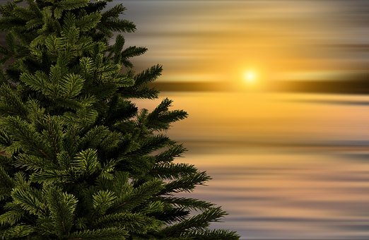 Le solstice d’hiver aux origines de Noël