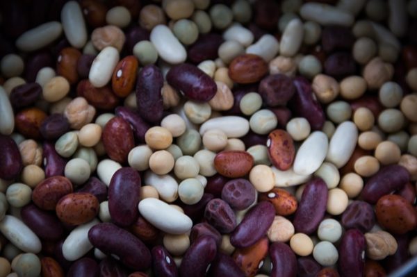 Pourquoi les graines écolos sont-elles anticonstitutionnelles ?