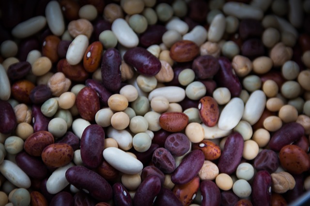 dried-beans-763158_640