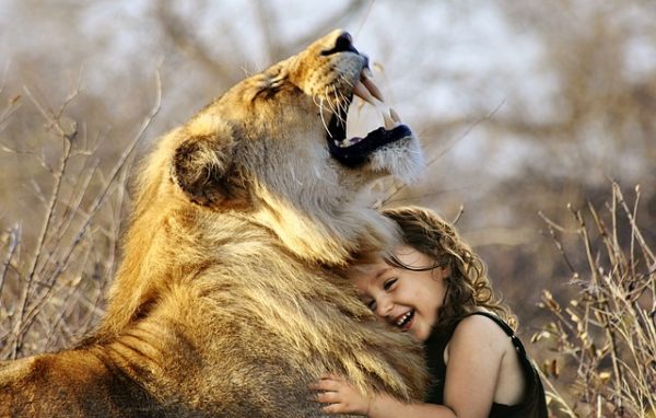 Frans de Waal : "Nos émotions et celles des animaux ont une base biologique commune"