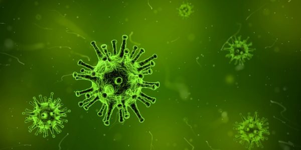« L'épidémie de grippe arrive doucement »