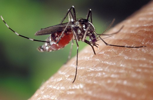 Le vaccin fièvre jaune tue un célèbre cancérologue anglais