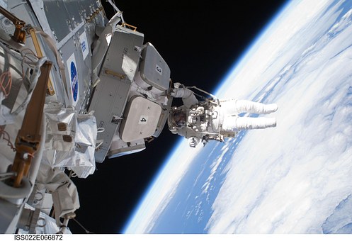Les microbes comme régulateurs des conquêtes spatiales