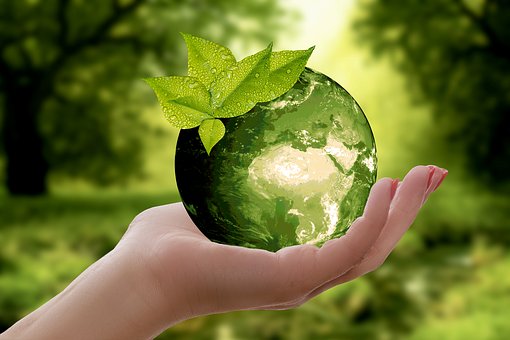 1 million d'espèces menacées d'extinction